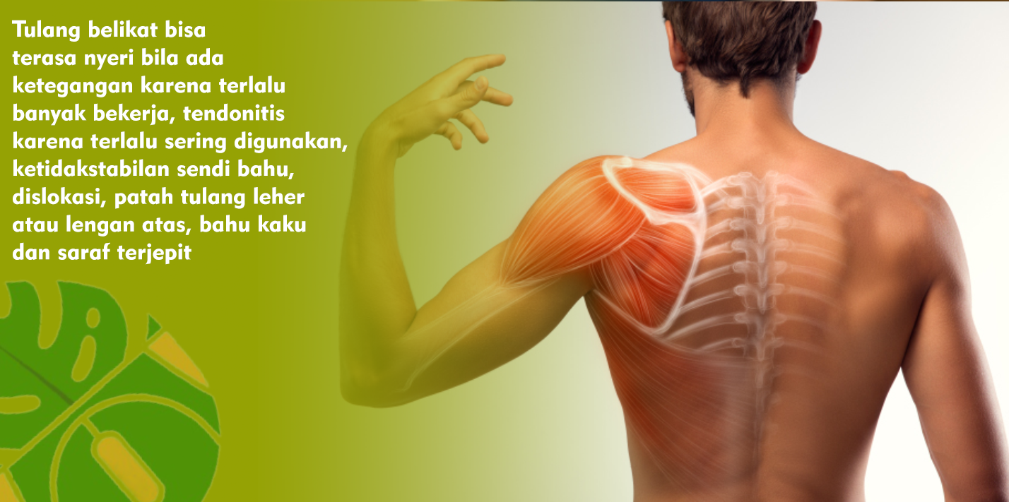 Ini Cara Pengobatan Tulang Belikat Ketika Merasakan Nyeri